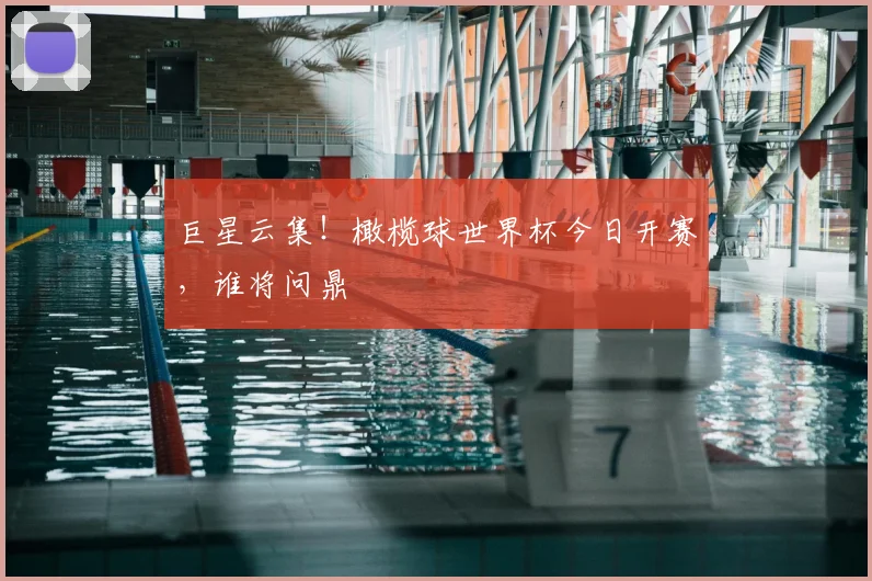 巨星云集!橄榄球世界杯今日开赛,谁将问鼎