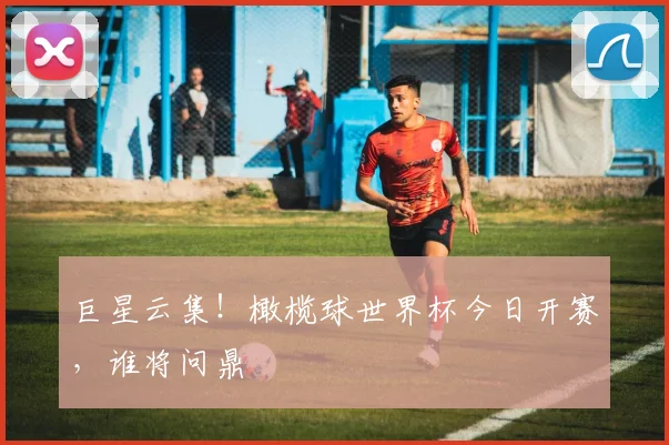 巨星云集！橄榄球世界杯今日开赛，谁将问鼎
